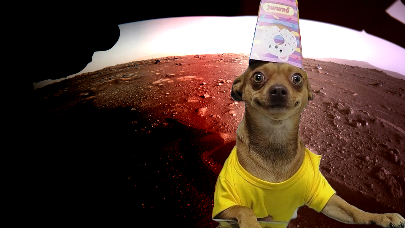 Image ChienPourriMars2